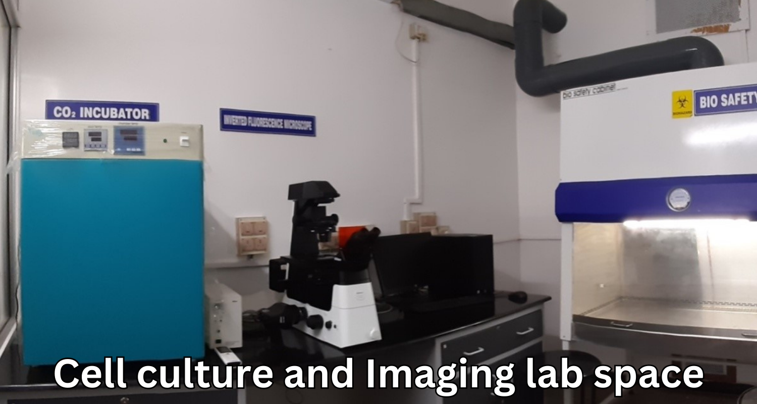 Cell culture and Imaging lab space
