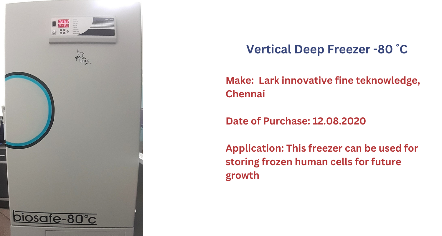 Vertical Deep Freezer  
